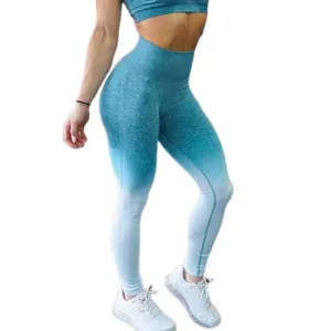 Ombre Seamless Leggings [HIGH WAISTED]